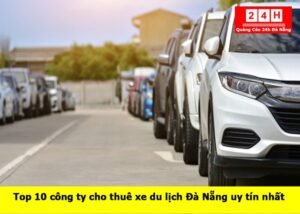 cho-thue-xe-du-lich-da-nang (13)