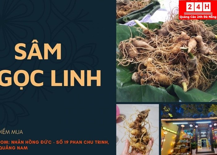 dat-san-lam-qua-bieu-khi-den-quang-nam (1)