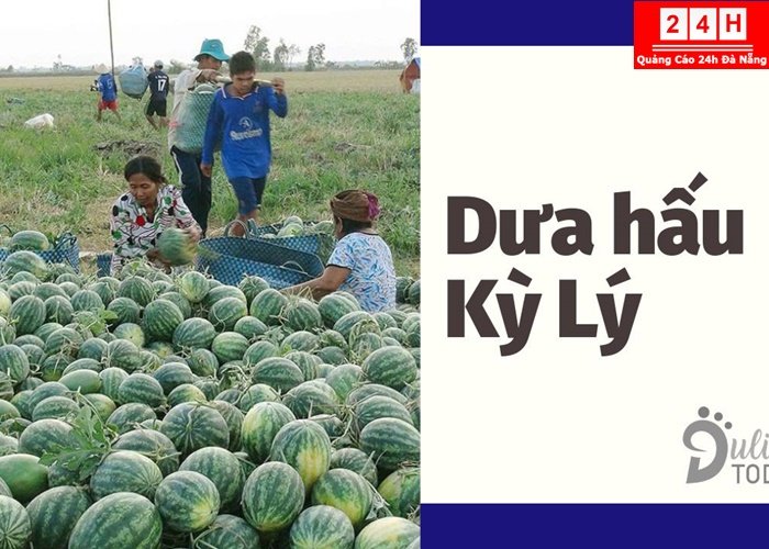 dat-san-lam-qua-bieu-khi-den-quang-nam (9)