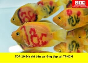 ban-ca-rong-dep-tai-tphcm (1)