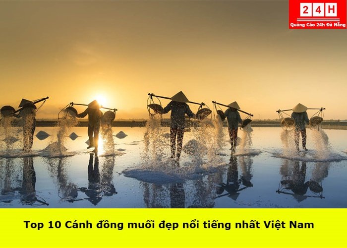 canh-dong-muoi-dep-noi-ting-nhat-viet-nam (1)