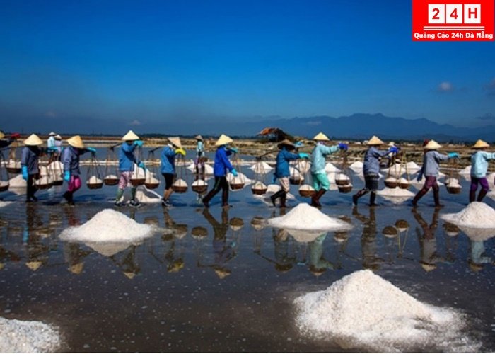 canh-dong-muoi-dep-noi-ting-nhat-viet-nam (10)