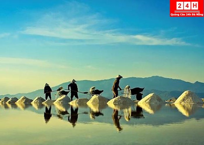 canh-dong-muoi-dep-noi-ting-nhat-viet-nam (5)