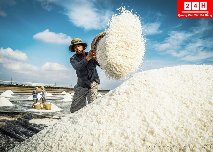 canh-dong-muoi-dep-noi-ting-nhat-viet-nam (6)