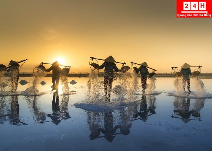 canh-dong-muoi-dep-noi-ting-nhat-viet-nam (8)