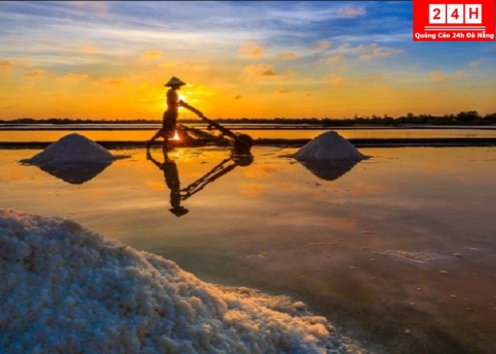 canh-dong-muoi-dep-noi-ting-nhat-viet-nam (9)