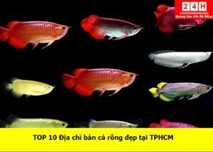 ban-ca-rong-dep-ta-tphcm (1)