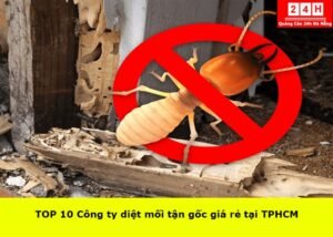 cong-ty-diet-moi-tan-goc-uy-tin- (1)